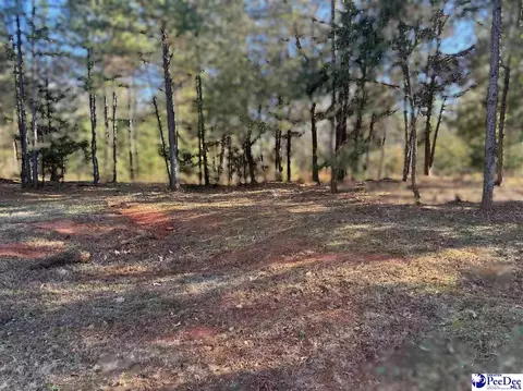 4604 Bon Rea Dr, Lancaster, SC 29720 photo 5