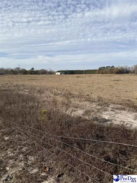 3110 Bluff Rd, Marion, SC 29571 photo 25