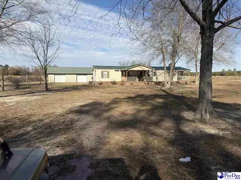 3110 Bluff Rd, Marion, SC 29571
