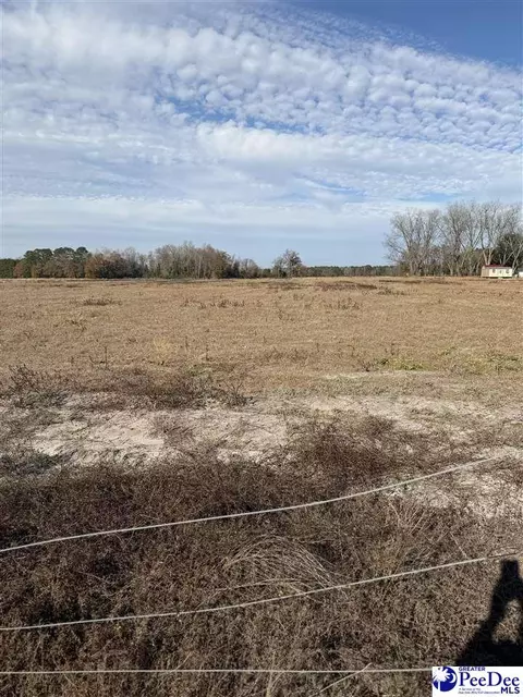 3110 Bluff Rd, Marion, SC 29571 photo 24