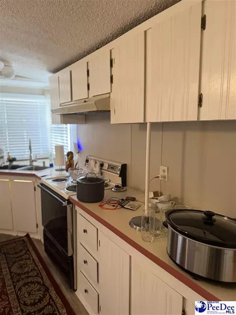 3110 Bluff Rd, Marion, SC 29571 photo 9