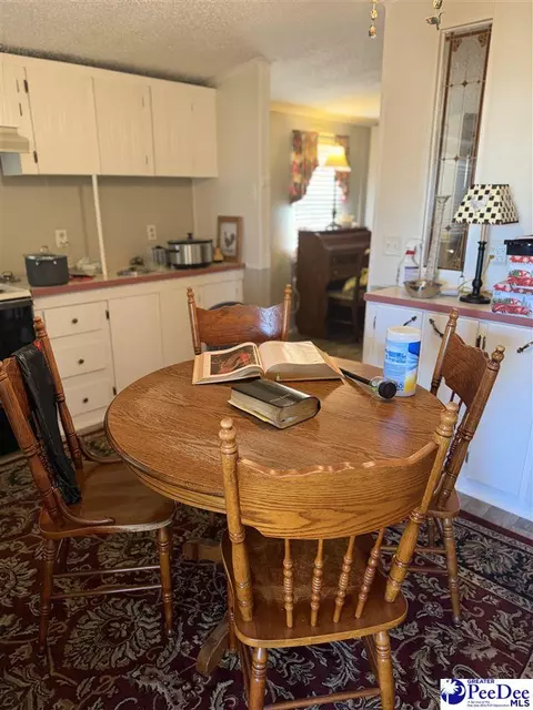 3110 Bluff Rd, Marion, SC 29571 photo 6