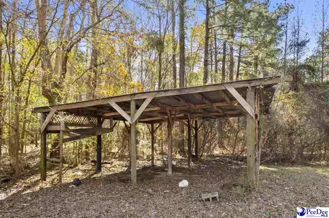 2017 Mcintyre Rd, Marion, SC 29571 photo 18