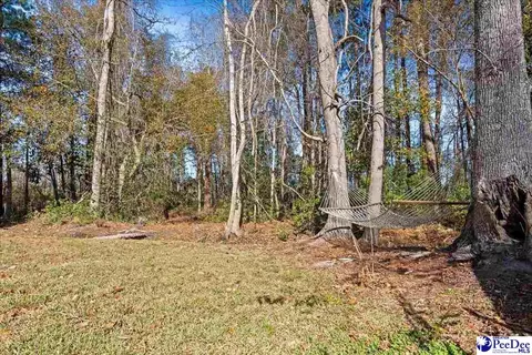 249 E Main St, Scranton, SC 29591 photo 28