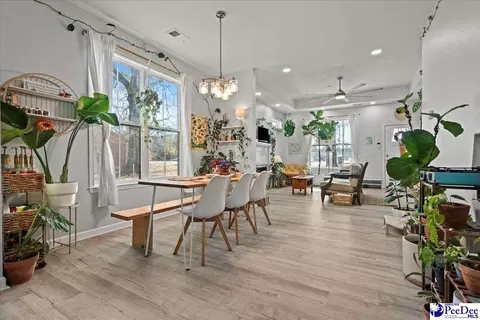 249 E Main St, Scranton, SC 29591 photo 8