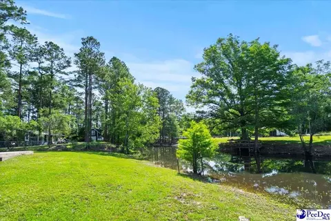 325 Locust Tree Ct, Gresham, SC 29546 photo 5
