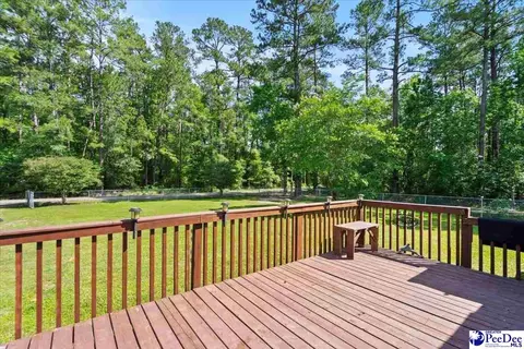 325 Locust Tree Ct, Gresham, SC 29546 photo 9