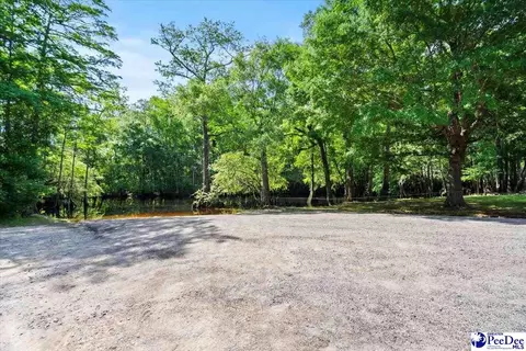 325 Locust Tree Ct, Gresham, SC 29546 photo 11
