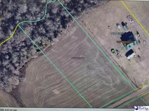 tbd Timmons Rd, Effingham, SC 29541