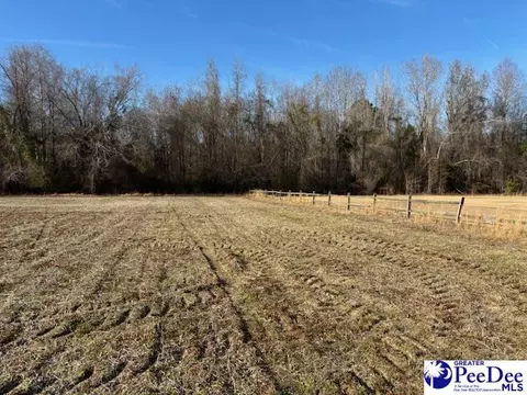 tbd Timmons Rd, Effingham, SC 29541 photo 2