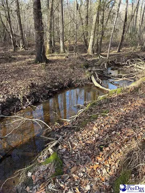 tbd Timmons Rd, Effingham, SC 29541 photo 4