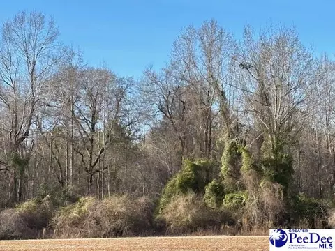 tbd Timmons Rd, Effingham, SC 29541 photo 3