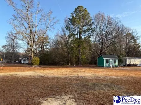 1048 Chesterfield Hwy, Cheraw, SC 29520 photo 10