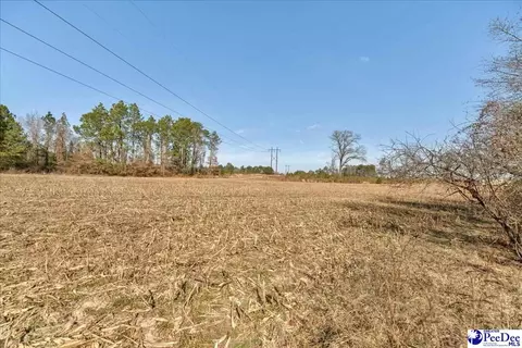 tbd W Bobo Newsom Hwy, Hartsville, SC 29550
