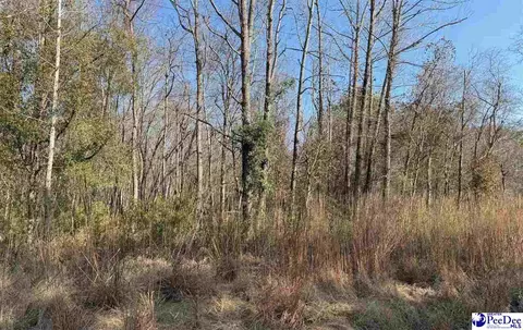 tbd Pee Dee Island Rd, Nichols, SC 29581