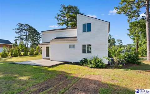 2204 Greenway Loop, Hamer, SC 29547 photo 38