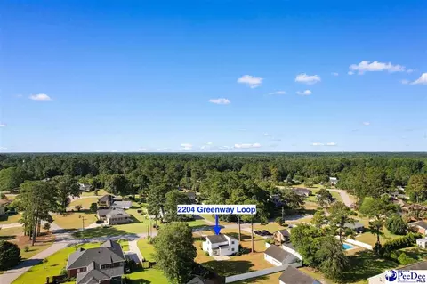 2204 Greenway Loop, Hamer, SC 29547 photo 35