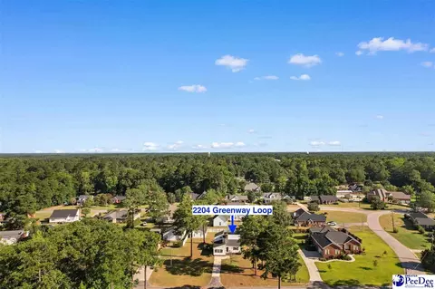 2204 Greenway Loop, Hamer, SC 29547 photo 37