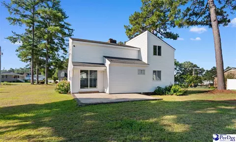 2204 Greenway Loop, Hamer, SC 29547 photo 39