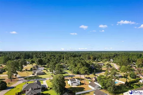 2204 Greenway Loop, Hamer, SC 29547 photo 34