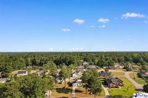 2204 Greenway Loop, Hamer, SC 29547 photo 36