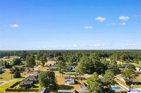 2204 Greenway Loop, Hamer, SC 29547 photo 32