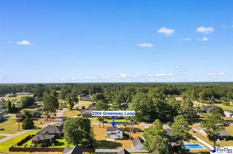 2204 Greenway Loop, Hamer, SC 29547 photo 33