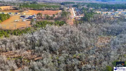 tbd Powell Ct, Dillon, SC 29536