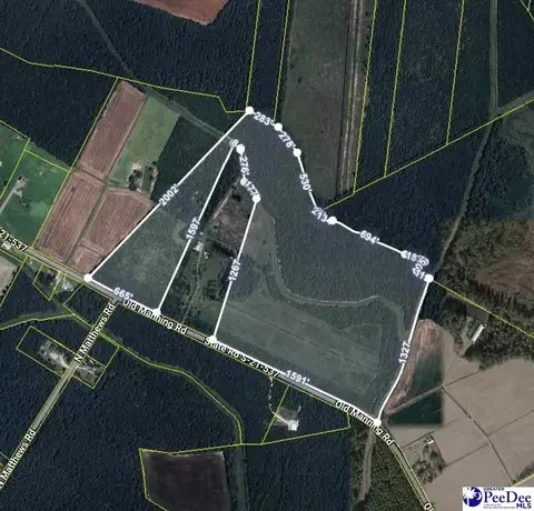 2681 2685 Old Manning Rd, Scranton, SC 29591 photo 1