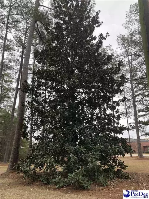 Other - 503 E Northside Ave, Marion, SC 29571 photo 5 of 5