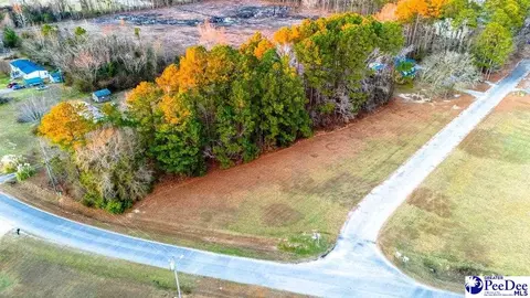 701 Pilots Ln, Timmonsville, SC 29161