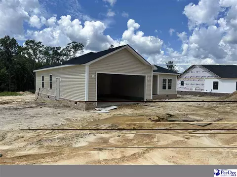 1336 New Market Rd, Hartsville, SC 29550