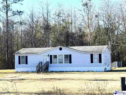 2069 Triflalia Rd, Scranton, SC 29591