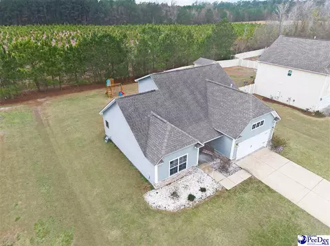View/Area - 2115 Chatfield Dr, Florence, SC 29505 photo 3 of 4