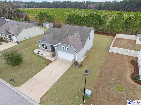 View/Area - 2115 Chatfield Dr, Florence, SC 29505 photo 4 of 4