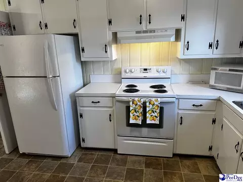 608 Diane Dr, Cheraw, SC 29520 photo 14