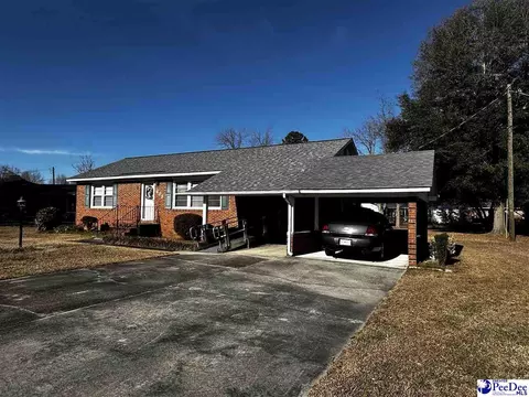 608 Diane Dr, Cheraw, SC 29520 photo 2