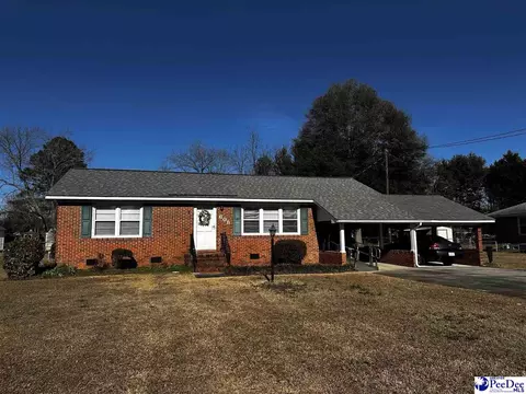 608 Diane Dr, Cheraw, SC 29520 photo 1
