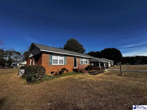 608 Diane Dr, Cheraw, SC 29520 photo 4