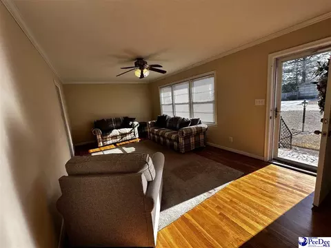 608 Diane Dr, Cheraw, SC 29520 photo 34