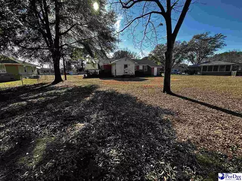 608 Diane Dr, Cheraw, SC 29520 photo 36