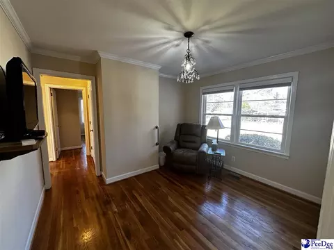 608 Diane Dr, Cheraw, SC 29520 photo 19