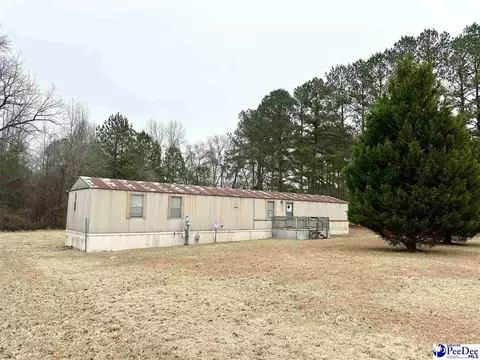 259 Quail Run Ln, Cheraw, SC 29520
