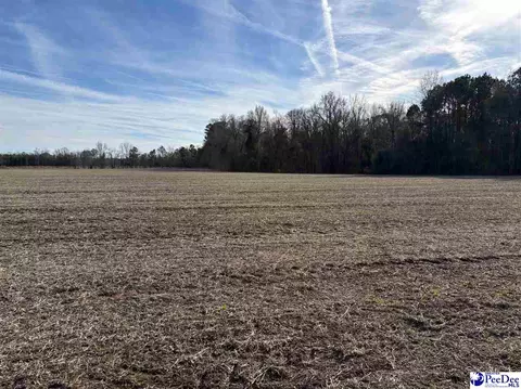 tbd Indigo Landing Rd #LOT 4, Scranton, SC 29591