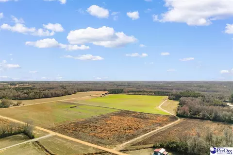 tbd Acacia Dr, Dillon, SC 29536 photo 3