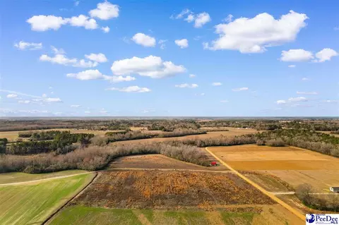tbd Acacia Dr, Dillon, SC 29536 photo 11