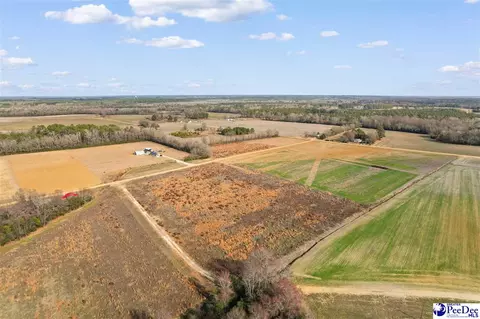 tbd Acacia Dr, Dillon, SC 29536 photo 5