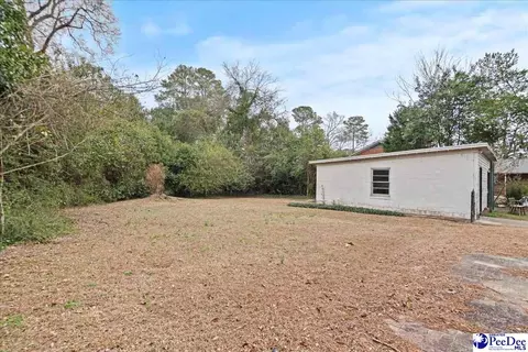 218 Huger St, Cheraw, SC 29520 photo 33