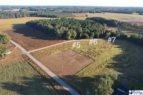 lot5 Neil Dr, Hamer, SC 29547