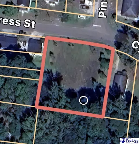 tbd Cypress St, Dilllon, SC 29536 photo 2